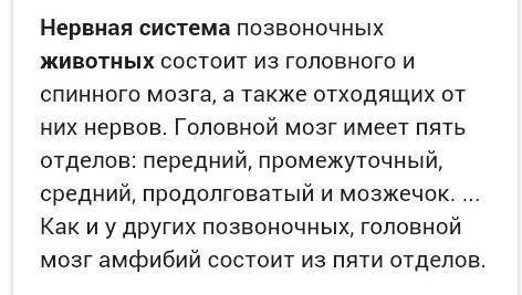 Опиши нервную систему животных !!