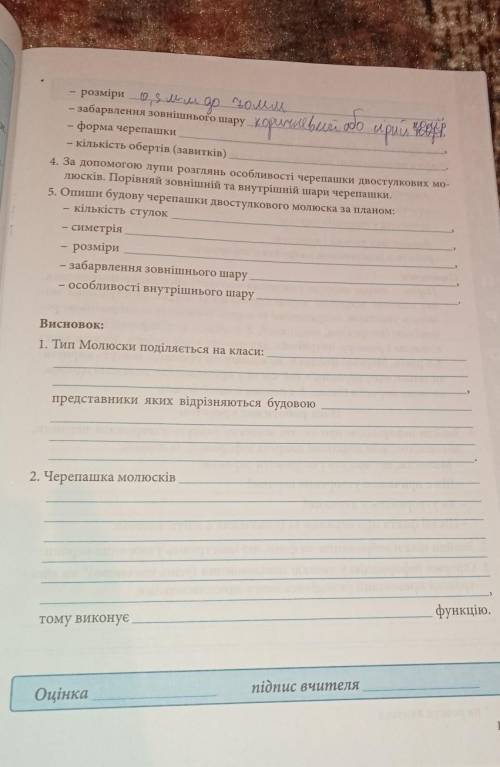 нужно . опиши будову черепашки черевоногого молюска НУЖНО ОТВЕТЫ НА ВОПРОСЫ С ФОТО