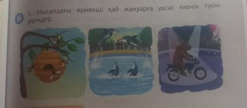 5. Мысалдағы өрмекші қай жануарға ұқсас екенін түсіндіріңдер.