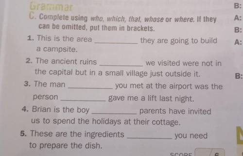 Complete using who, which, that, whose or where. If they can be omitted, put them in brackets