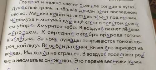 Найди в тексте многозначные слова выписать их сочетания с другими словами