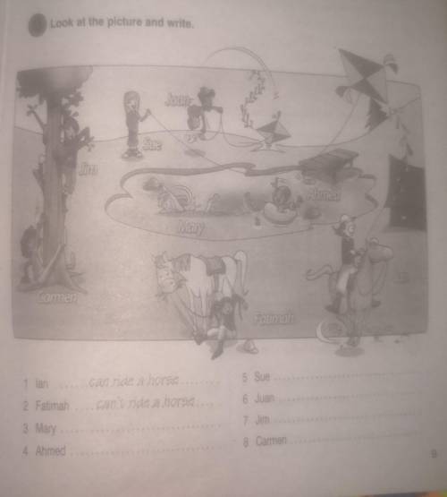Look at the picture and write