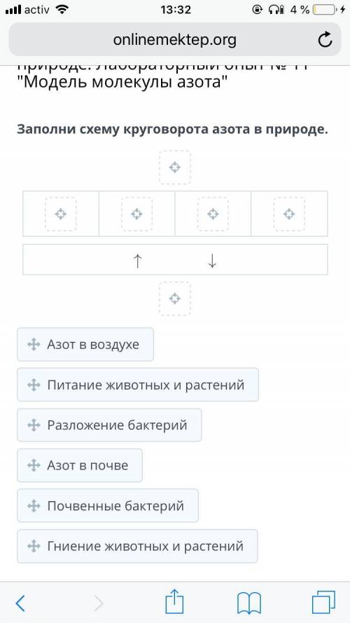 Заполни схему круговорота азота в природе.
