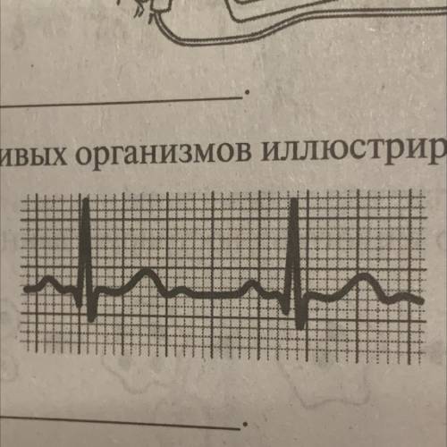 Какое свойство живых организмов иллюстрирует рисунок?
