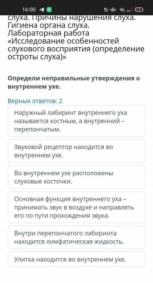Определи неправильные утверждения о внутреннем ухе. Верных ответов: 2 Наружный лабиринт внутреннего 