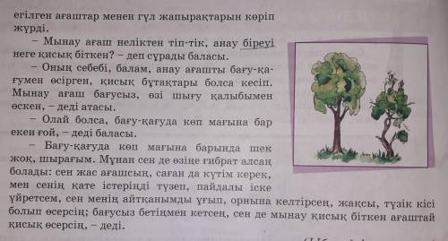 Пікіріңді өмірмен байланыстырып, мысал келтір