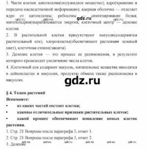 Биология 6 класс ср 19-22 , у кого есть ответы?