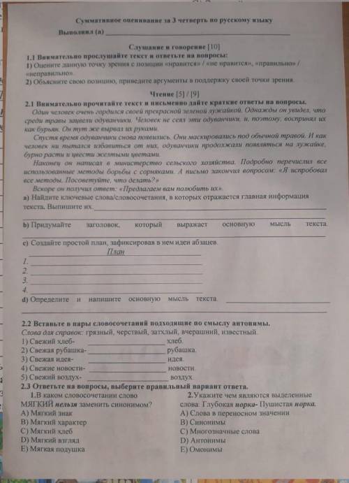 Сор по русскому языку 5 класс