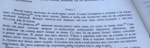Расставьте запятые и вставьте буквы чен нужнооо
