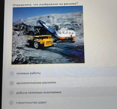 Определите, что изображено на рисунке?