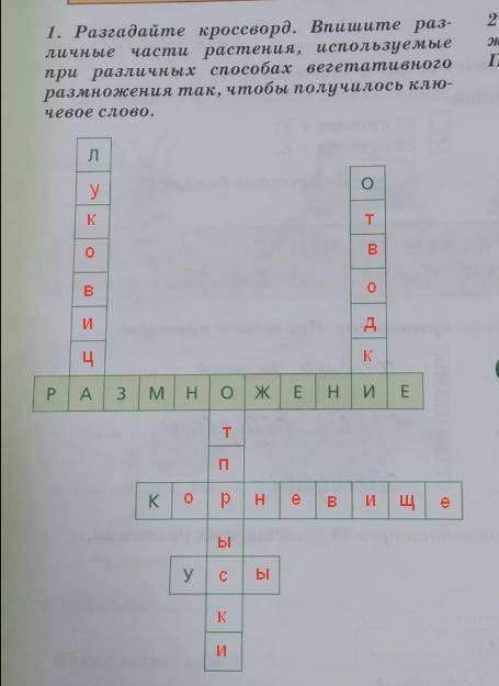 Разгадайте кроссворд. Впишите различные части растения, используемые при различных вегетативного раз